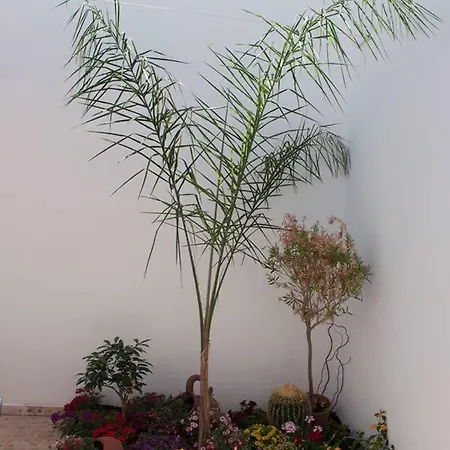 Baia Di Torre Squillace Bed & Breakfast Sant Isidoro (Apulia)