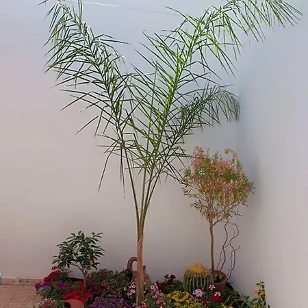 Baia Di Torre Squillace Bed & Breakfast Sant Isidoro (Apulia)